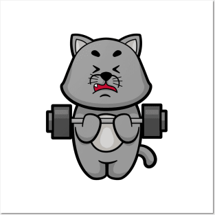 Cat at Biceps training with Barbell Posters and Art